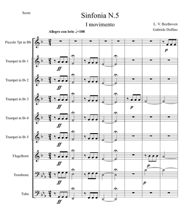 Symphony No.5 - I mvt (arr. Gabriele Delfino)