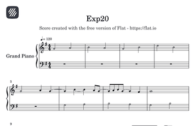 Exp.20
