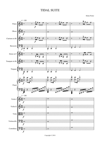 TIDAL SUITE