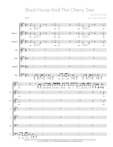 Black Horse And The Cherry Tree (arr. Logan Widmor)
