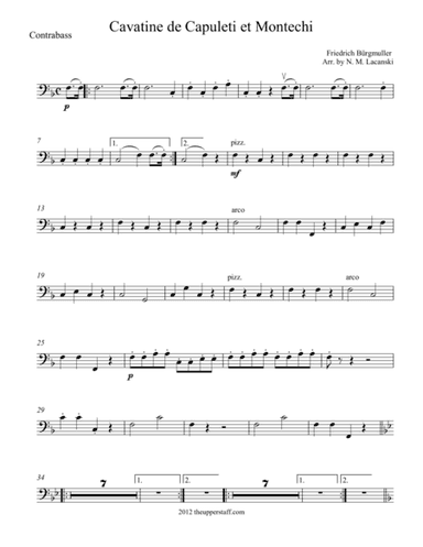 Cavatine de Capuleti et Montechi (arr. Nick Lacanski)