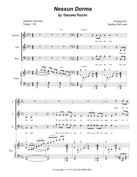 Nessun Dorma (arr. Stephen DeCesare)