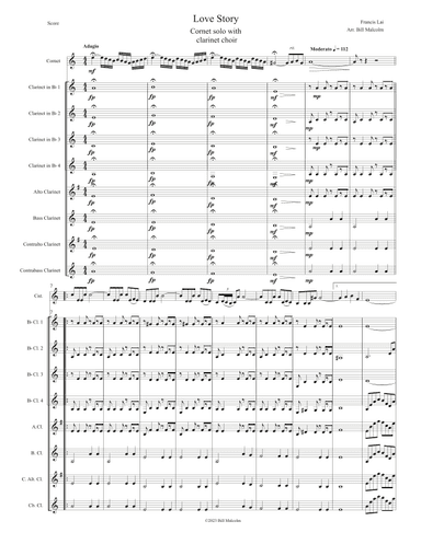 Love Story (arr. Bill Malcolm)
