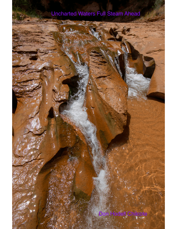 Uncharted Waters Full Steam Ahead