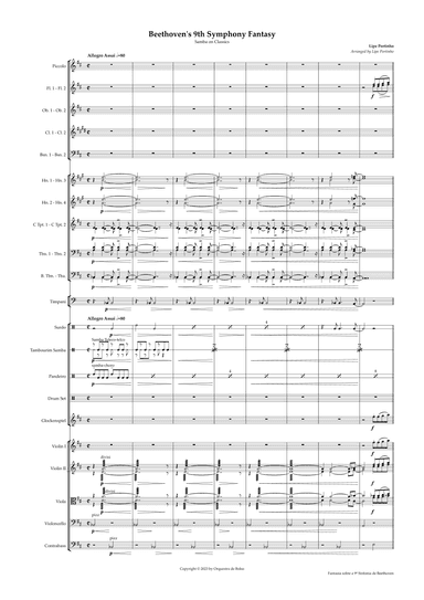 Beethoven's 9th Symphony on Samba Fantasy