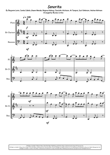 Senorita (arr. Nicolás Cortés Castillo)