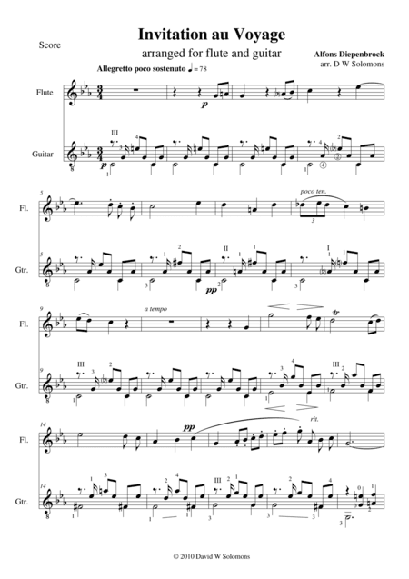 Invitation to the journey (Diepenbrock) for flute and guitar (arr. David Warin Solomons)