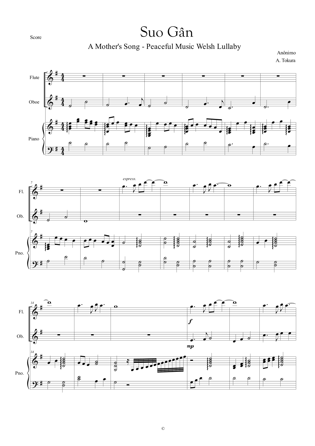 Suo Gân - A Mother's Song - Peaceful Music Welsh Lullaby (arr. André Tokura)