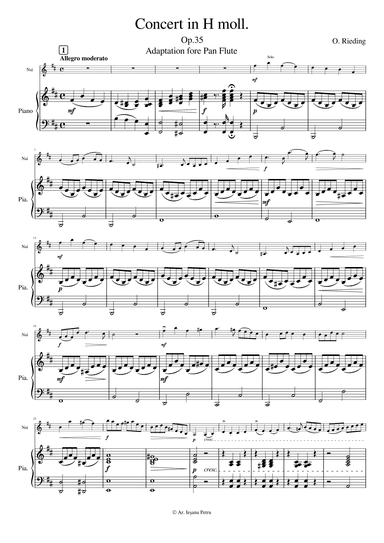 Concerto No.2 in h moll, Op.35 (arr. Ieșanu Petru)