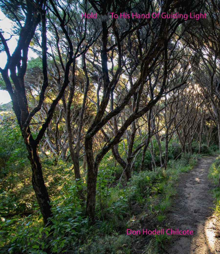 Hold To His Hand Of Guiding Light (arr. Don Hodell Chilcote)