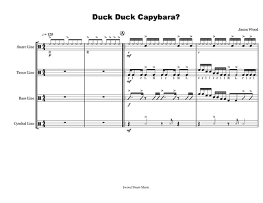 Duck Duck Capybara? (Drumline Cadence)
