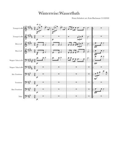 Winterreise: Wasserfluth (Flood) (arr. Eoin Buchanan)