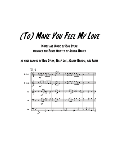 Make You Feel My Love (arr. Joshua Hauser)