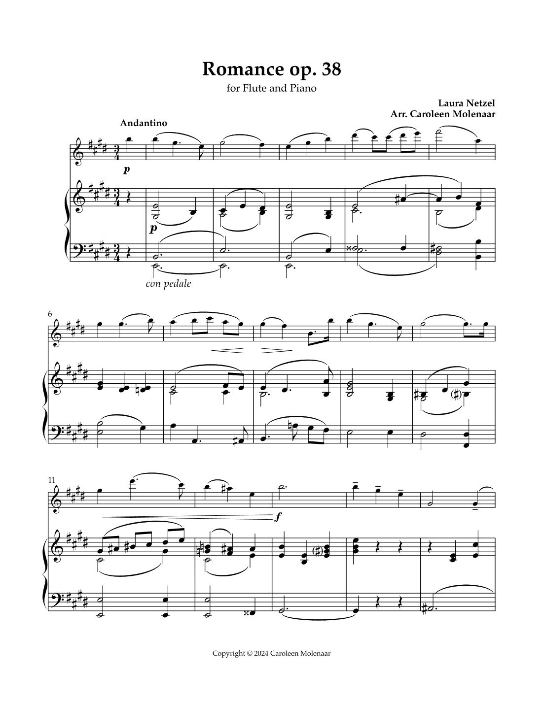 Romance Op. 38 for Flute and Piano (arr. Caroleen Molenaar)