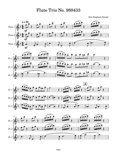 Flute Trio No. 988433