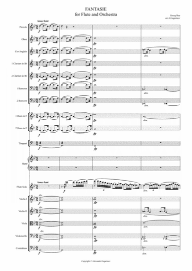 Fantasie for Flute & Symphony Orchestra (arr.) Full Score (arr. Alexander Gagarinov)