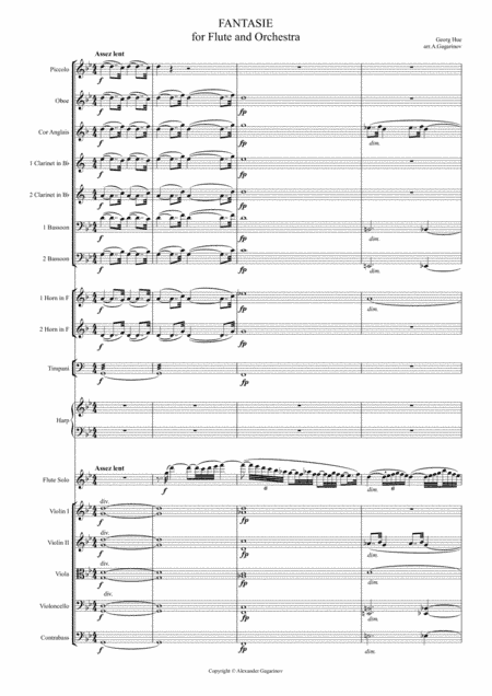 Fantasie for Flute & Symphony Orchestra (arr.) Full Score (arr. Alexander Gagarinov)