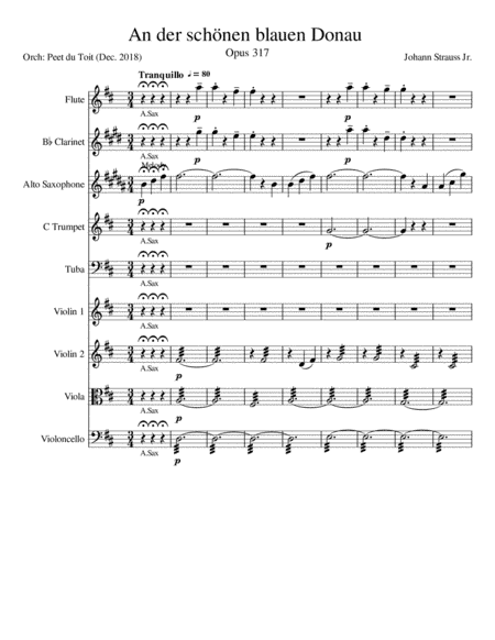 The Blue Danube / An der schönen blauen Donau, Op. 314 - J Strauss Jr. (Mixed Ensemble) (arr. Peet du Toit)