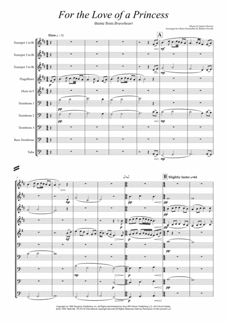 For The Love Of A Princess  from the Twentieth Century Fox Motion Picture BRAVEHEART (arr. Robert Newth)