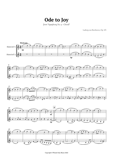 Ode to Joy by Beethoven for French Horn Duet (arr. Ander)