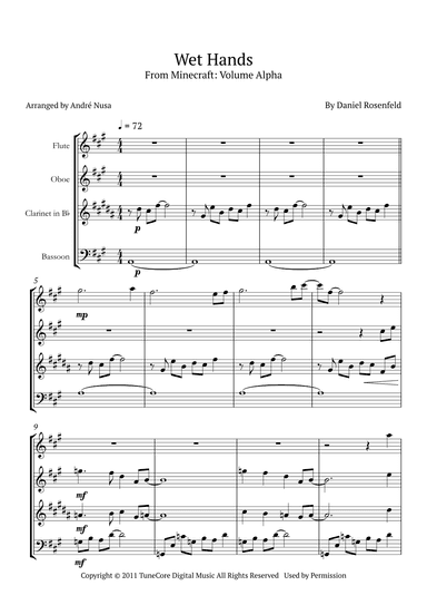 Wet Hands (arr. André Nusa)