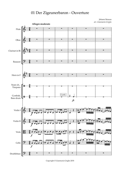 Der Zigeunerbaron Ouverture - arr. for chamber orchestra (arr. Gianmaria Griglio)