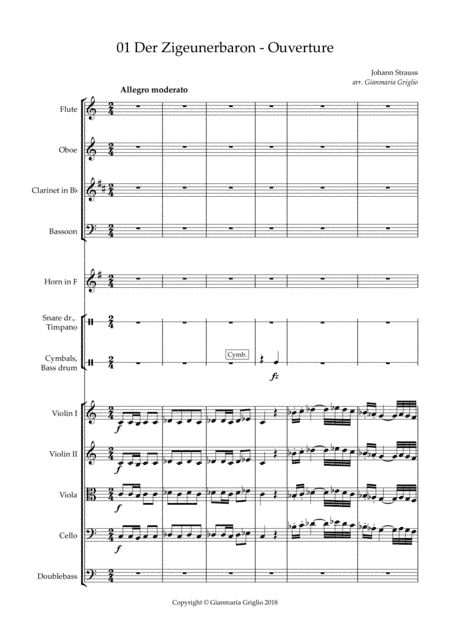 Der Zigeunerbaron Ouverture - arr. for chamber orchestra (arr. Gianmaria Griglio)