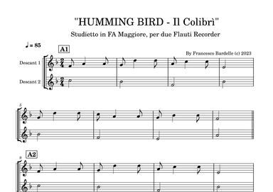 HUMMING BIRD (Il Colibrì)