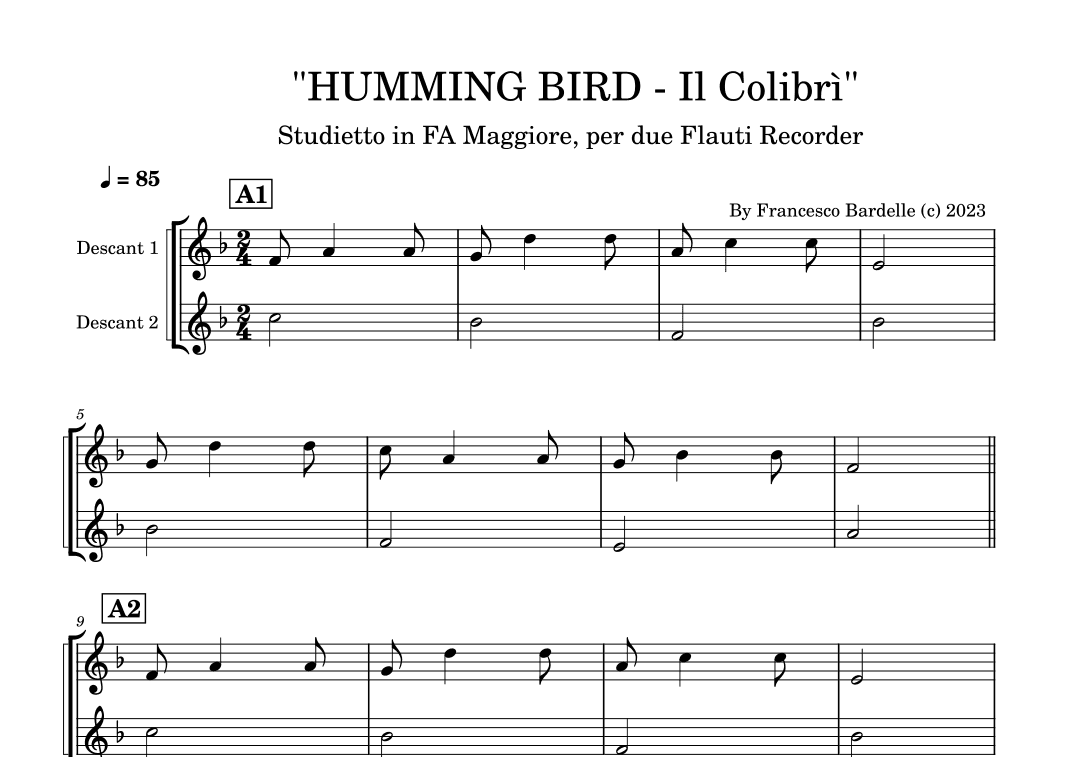HUMMING BIRD (Il Colibrì)