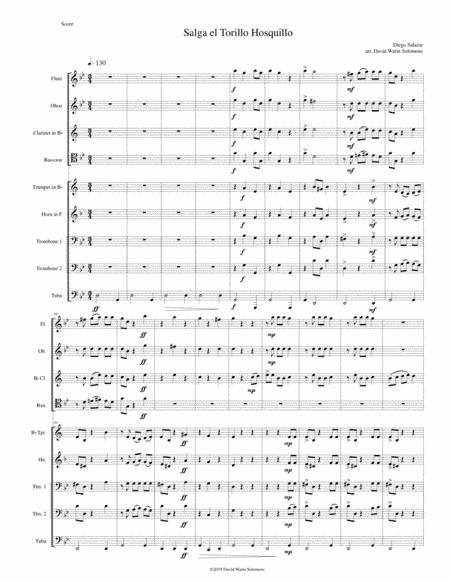 Salga el torillo hosquillo (Let the little wild bull out) arranged for wind and brass ensemble (arr. David Warin Solomons)