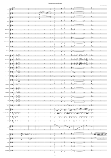 Flying into the Storm