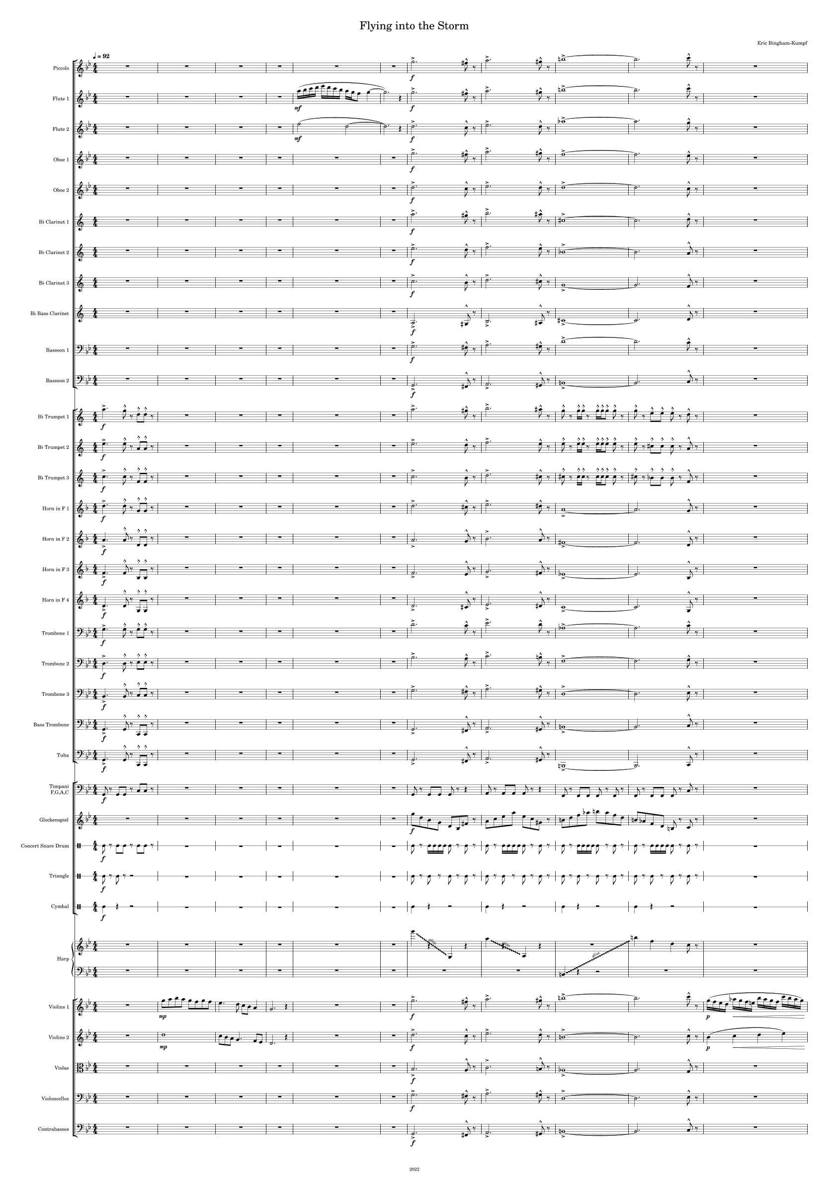 Flying into the Storm