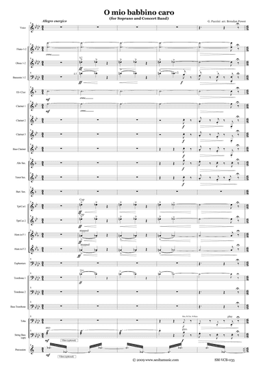 O mio babbino caro for solo voice and concert band (arr. J. B. Power)