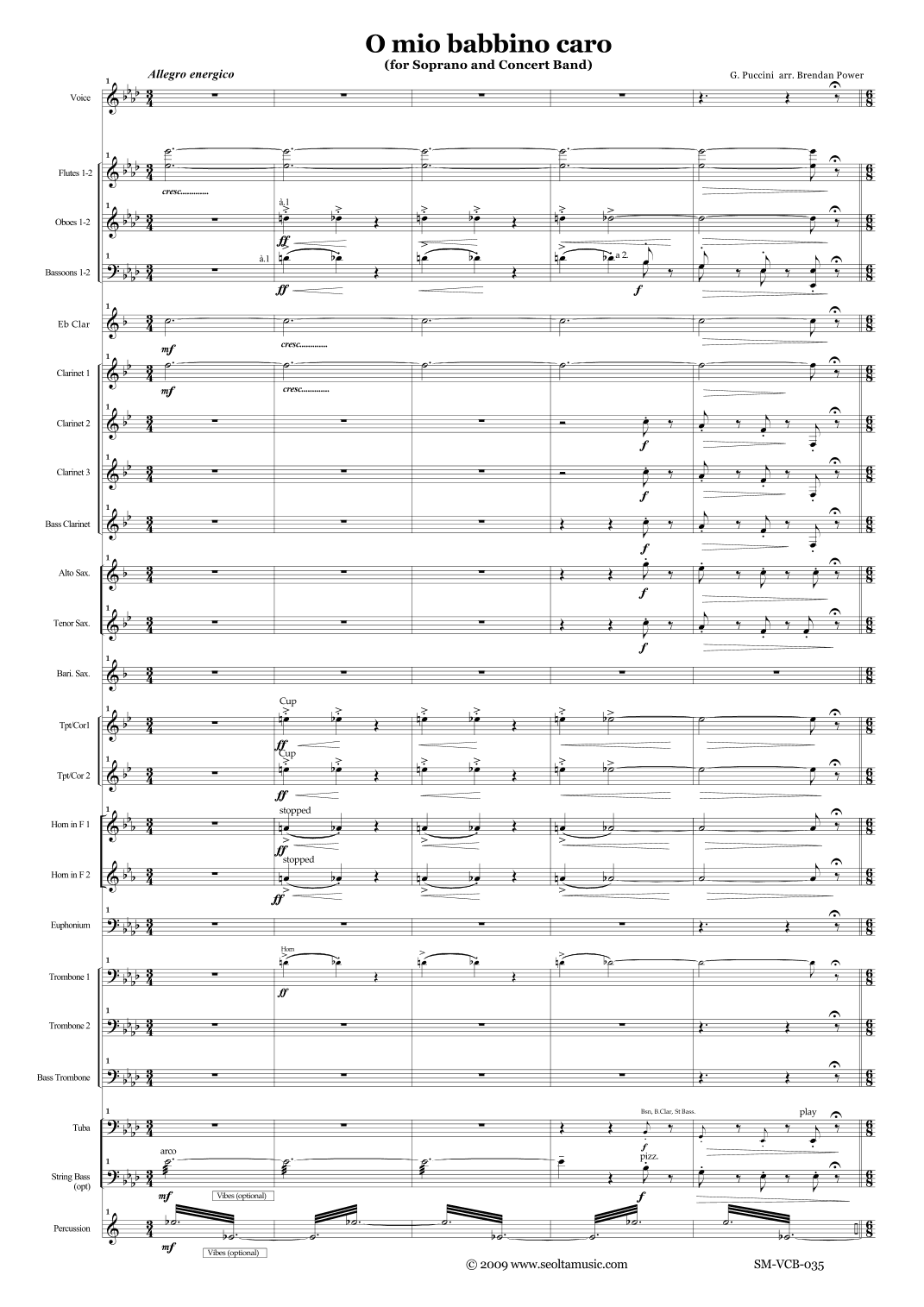O mio babbino caro for solo voice and concert band (arr. J. B. Power)