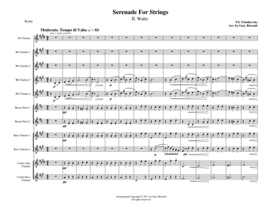 II. Waltz from Serenade For Strings (arr. Gary Bricault)