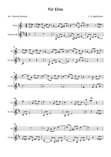 Fur Elise - Beethoven Flute and Clarinet (arr. Marival Moreira)
