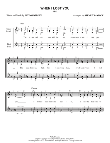 When I Lost You (arr. Steve Tramack)