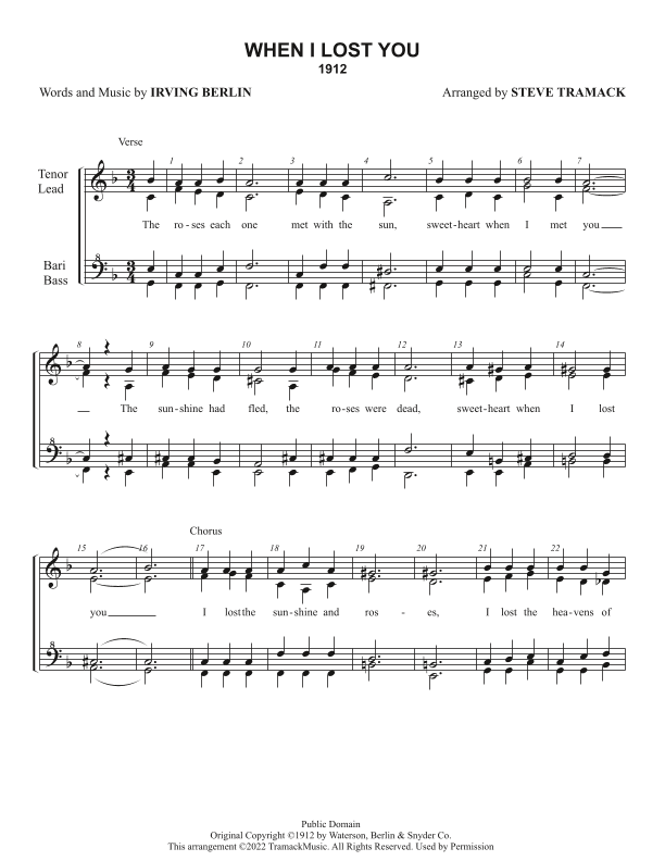 When I Lost You (arr. Steve Tramack)