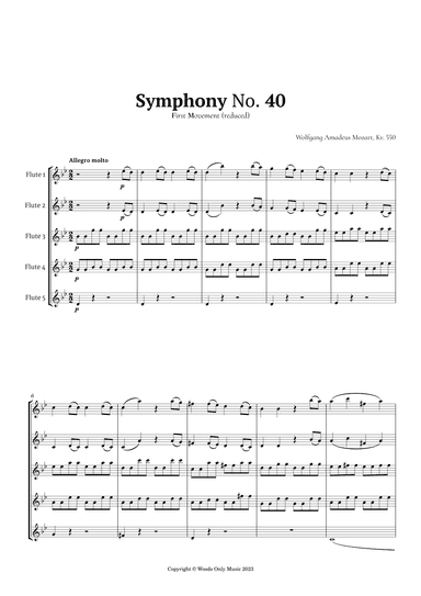 Symphony No. 40 by Mozart for Flute Quintet (arr. Ander)