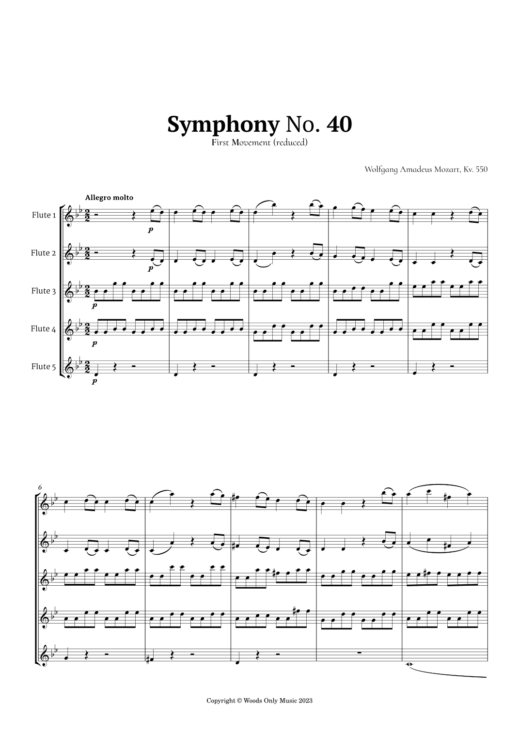 Symphony No. 40 by Mozart for Flute Quintet (arr. Ander)