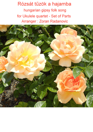 Rózsát tuzök a hajamba - for Ukulele quartet (arr. Zoran Radanovic)