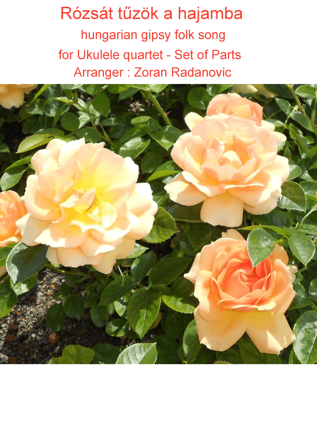 Rózsát tuzök a hajamba - for Ukulele quartet (arr. Zoran Radanovic)