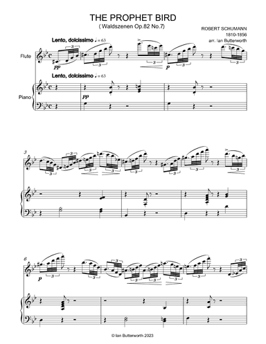 SCHUMANN The Prophet Bird for flute & piano (arr. Ian Butterworth)
