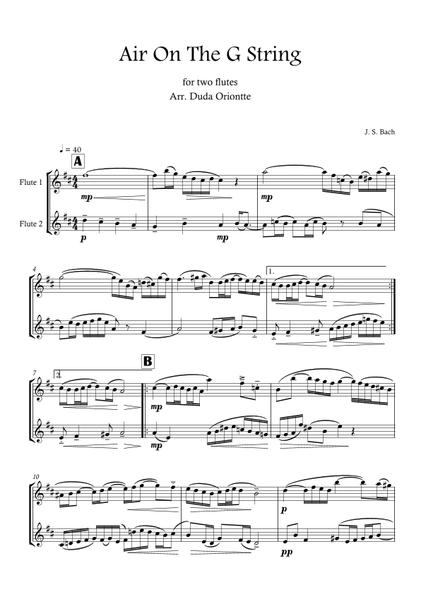 Air On The G String (Flute Duo) Bach (arr. Duda Oriontte)