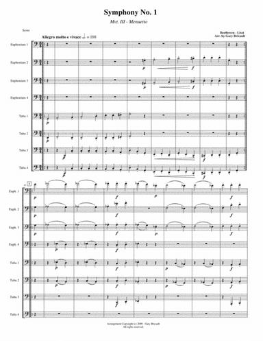 Menuetto (Mvt. III) from Symphony No. 1 (arr. Gary Bricault)