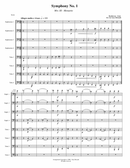 Menuetto (Mvt. III) from Symphony No. 1 (arr. Gary Bricault)