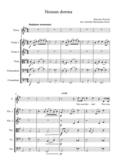 Nessun Dorma - strings and voice (arr. Oswaldo Otero)