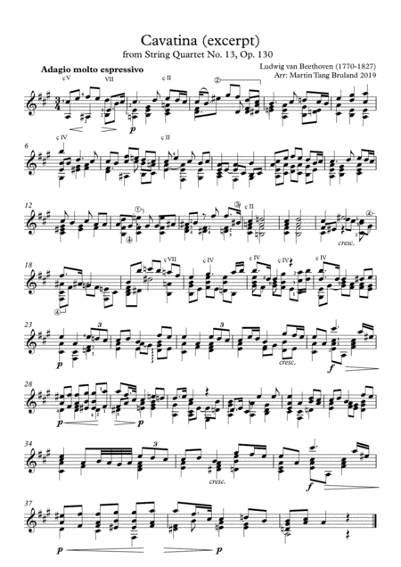 "Cavatina" from Beethoven String Quartet No 13, excerpt for guitar (arr. Martin Tang Bruland)