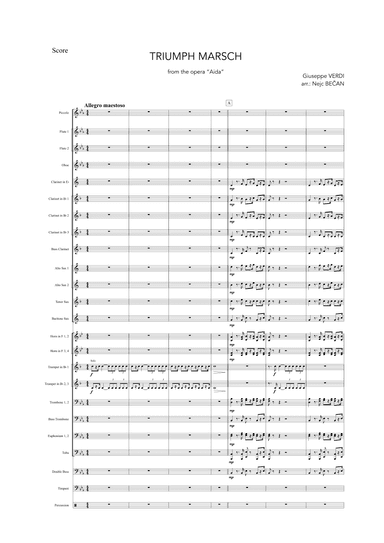 Triumph Marsch (arr. Nejc Bečan)