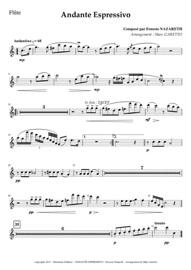 Andante Espressivo - Ernesto NAZARETH - for Chamber Orchestra (arr. Marc GARETTO)